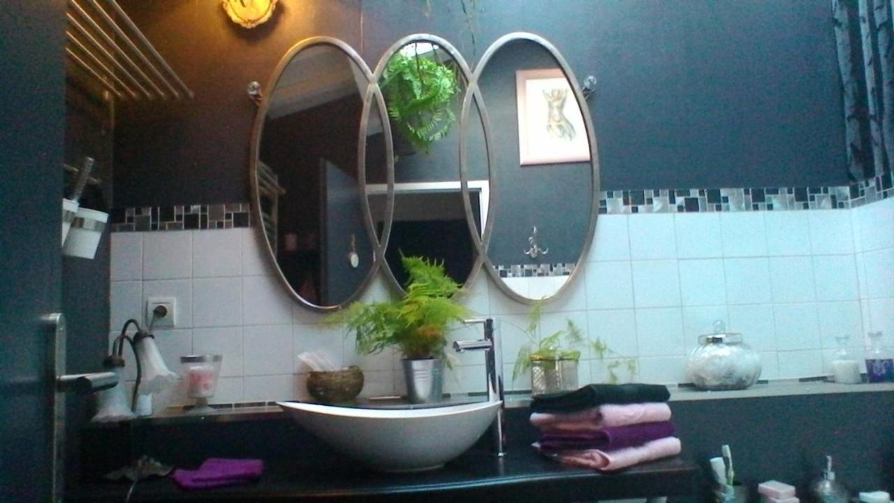 Le Domaine De La Lezardiere B&B Espiet エクステリア 写真